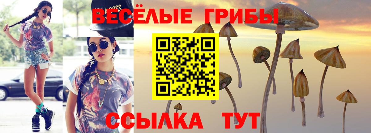 Рыбинск  Галлюциногенные грибы Psilocybine cubensis  Псилоцибиновые грибы мицелий  Вход с VPN 